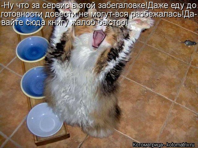 Котоматрица: -Ну что за сервис в этой забегаловке!Даже еду до готовности довести не могут-вся разбежалась!Да- вайте сюда книгу жалоб быстро!