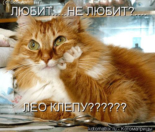 Котоматрица: ЛЮБИТ.....НЕ ЛЮБИТ?.... ЛЕО КЛЕПУ??????
