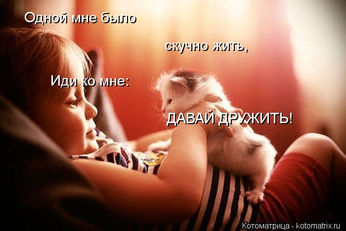 Одной мне было скучно жить, Иди ко мне: ДАВАЙ ДРУЖИТЬ!... Котоматрица: Одной мне было скучно жить, Иди ко мне: ДАВАЙ ДРУЖИТЬ!