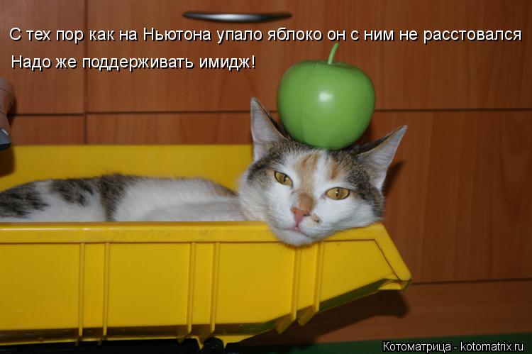 С тех пор как на Ньютона упало яблоко он с ним не расстовался Надо же поддерживать имидж!... Котоматрица: С тех пор как на Ньютона упало яблоко он с ним не расстовался Надо же поддерживать имидж!