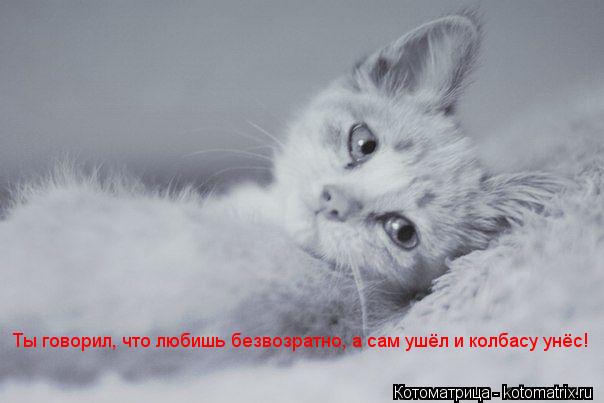 Ты говорил, что любишь безвозратно, а сам ушёл и колбасу унёс!... Котоматрица: Ты говорил, что любишь безвозратно, а сам ушёл и колбасу унёс!