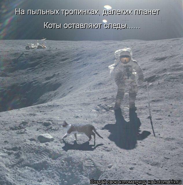 На пыльных тропинках, далеких планет Коты оставляют следы......... Котоматрица: На пыльных тропинках, далеких планет Коты оставляют следы......