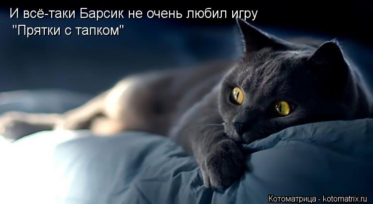 И всё-таки Барсик не очень любил игру "Прятки с тапком"... Котоматрица: И всё-таки Барсик не очень любил игру "Прятки с тапком"