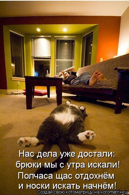 Котоматрица: Нас дела уже достали: брюки мы с утра искали! Полчаса щас отдохнём и носки искать начнём!