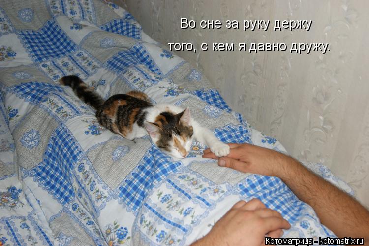 того, с кем я давно дружу. Во сне за руку держу... Котоматрица: того, с кем я давно дружу. Во сне за руку держу