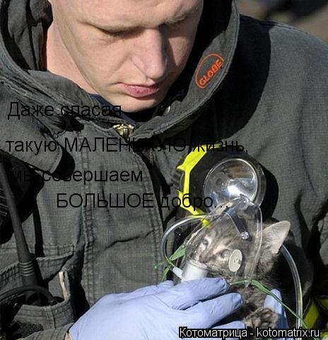 Даже спасая такую МАЛЕНЬКУЮ жизнь, мы совершаем БОЛЬШОЕ добро...... Котоматрица: Даже спасая такую МАЛЕНЬКУЮ жизнь, мы совершаем БОЛЬШОЕ добро...