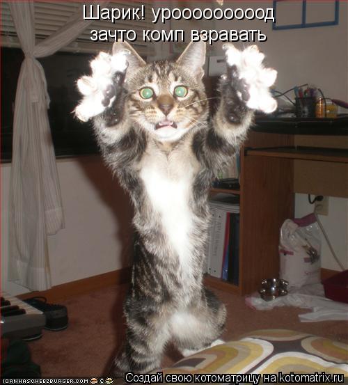 Шарик! урооооооооод Шарик! урооооооооод зачто комп взравать зачто комп взравать... Котоматрица: Шарик! урооооооооод Шарик! урооооооооод зачто комп взравать зачто комп взравать