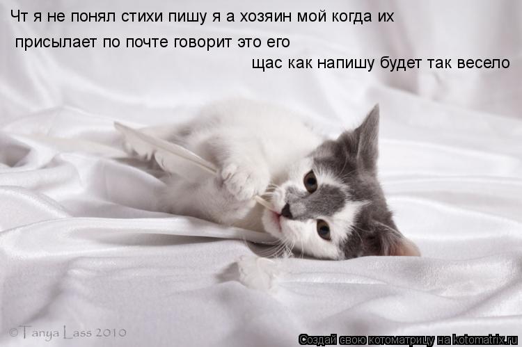 Котоматрица: Чт я не понял стихи пишу я а хозяин мой когда их  присылает по почте говорит это его щас как напишу будет так весело
