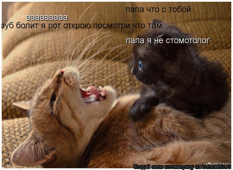 ааааааааа папа что с тобой зуб болит я рот открою посмотри что там папа я не стомотолог... Котоматрица: ааааааааа папа что с тобой зуб болит я рот открою посмотри что там папа я не стомотолог
