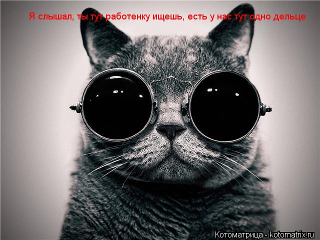 Я слышал, ты тут работенку ищешь, есть у нас тут одно дельце... Котоматрица: Я слышал, ты тут работенку ищешь, есть у нас тут одно дельце
