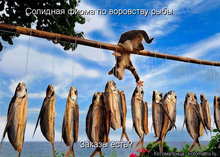 Солидная фирма по воровству рыбы.. Солидная фирма по воровству рыбы.. Заказы есть? Заказы есть?... Котоматрица: Солидная фирма по воровству рыбы.. Солидная фирма по воровству рыбы.. Заказы есть? Заказы есть?