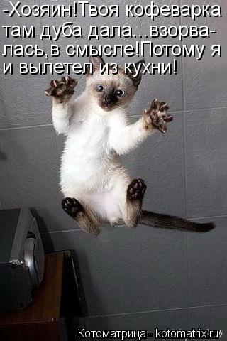 Котоматрица: -Хозяин!Твоя кофеварка там дуба дала...взорва- лась,в смысле!Потому я и вылетел из кухни!