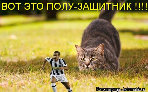 ВОТ ЭТО ПОЛУ-ЗАЩИТНИК !!!!... Котоматрица: ВОТ ЭТО ПОЛУ-ЗАЩИТНИК !!!!
