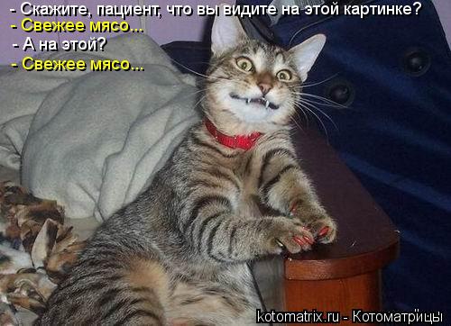 - Скажите, пациент, что вы видите на этой картинке? - Свежее мясо... - А на этой? - Свежее мясо...... Котоматрица: - Скажите, пациент, что вы видите на этой картинке? - Свежее мясо... - А на этой? - Свежее мясо...