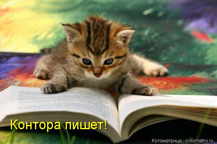 Контора пишет!... Котоматрица: Контора пишет!