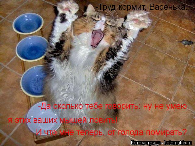 Котоматрица: -Труд кормит, Васенька... -Да сколько тебе говорить: ну не умею я этих ваших мышей ловить! И что мне теперь, от голода помирать?