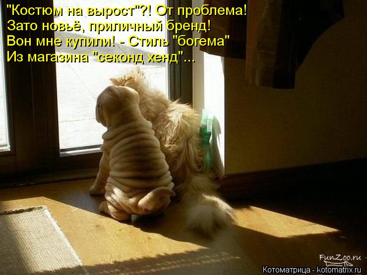Котоматрица: "Костюм на вырост"?! От проблема! Зато новьё, приличный бренд! Вон мне купили! - Стиль "богема" Из магазина "секонд хенд"...