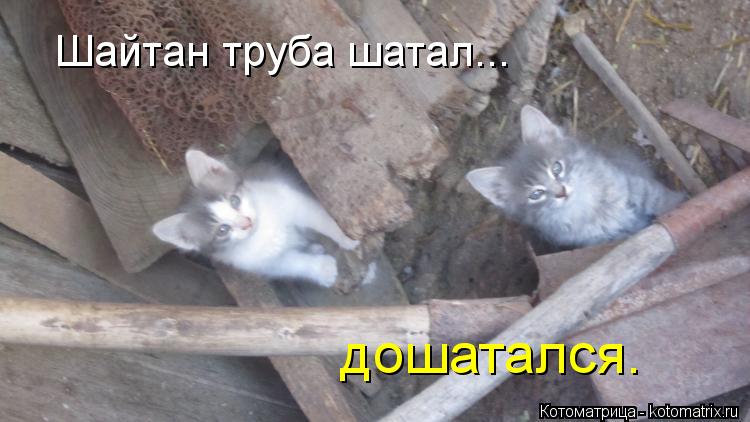 Шайтан труба шатал... дошатался.... Котоматрица: Шайтан труба шатал... дошатался.
