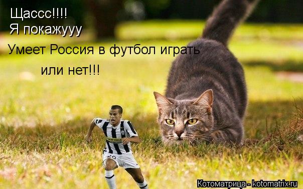 Щассс!!!! Я покажууу Умеет Россия в футбол играть или нет!!!... Котоматрица: Щассс!!!! Я покажууу Умеет Россия в футбол играть или нет!!!