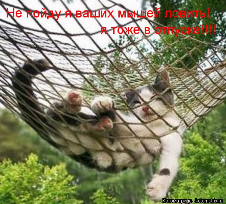 Не пойду я ваших мышей ловить! я тоже в отпуске!!!!... Котоматрица: Не пойду я ваших мышей ловить! я тоже в отпуске!!!!