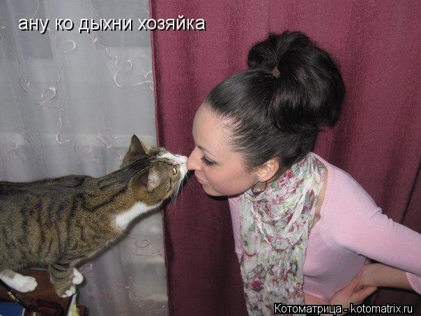 Котоматрица: ану ко дыхни хозяйка