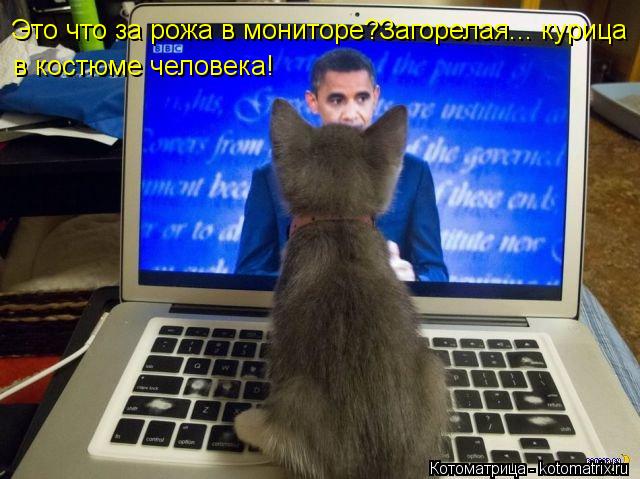 Котоматрица: Это что за рожа в мониторе?Загорелая... курица\ Это что за рожа в мониторе?Загорелая... курица в костюме человека!