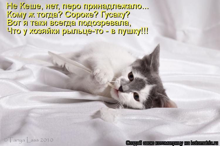 Не Кеше, нет, перо принадлежало... Кому ж тогда? Сороке? Гусаку? Вот я таки всегда подозревала, Что ... Котоматрица: Не Кеше, нет, перо принадлежало... Кому ж тогда? Сороке? Гусаку? Вот я таки всегда подозревала, Что у хозяйки рыльце-то - в пушку!!!