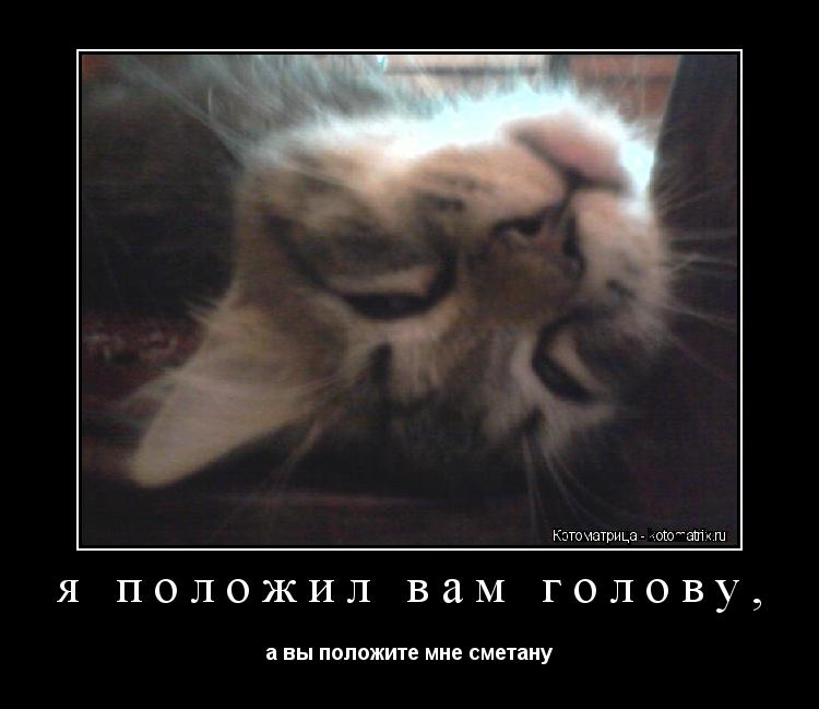 я положил вам голову, а вы положите мне сметану... Котоматрица: я положил вам голову, а вы положите мне сметану