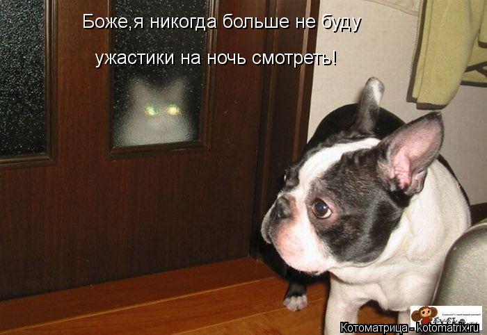 Боже,я никогда больше не буду ужастики на ночь смотреть!... Котоматрица: Боже,я никогда больше не буду ужастики на ночь смотреть!