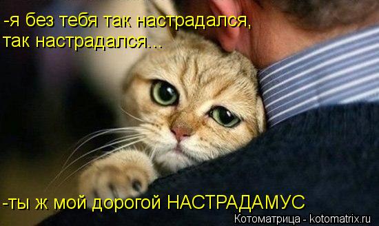 -я без тебя так настрадался, так настрадался... -ты ж мой дорогой НАСТРАДАМУС... Котоматрица: -я без тебя так настрадался, так настрадался... -ты ж мой дорогой НАСТРАДАМУС