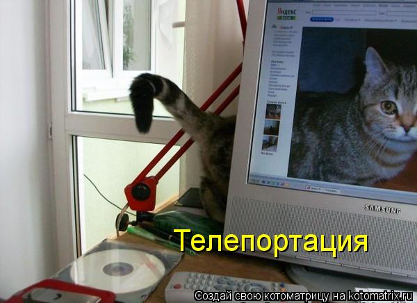 Телепортация... Котоматрица: Телепортация