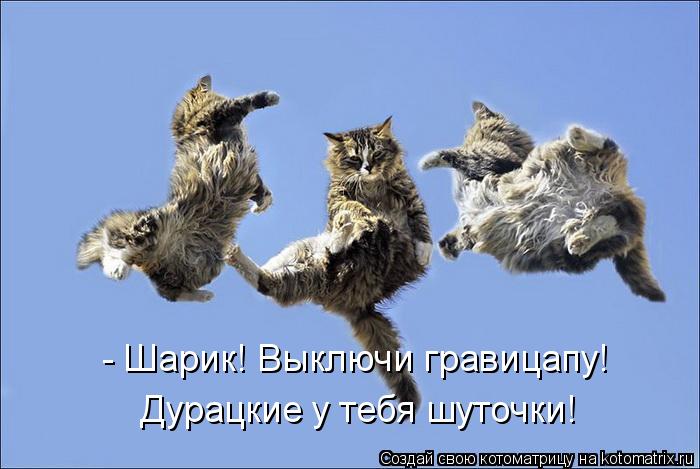 - Шарик! Выключи гравицапу! Дурацкие у тебя шуточки!... Котоматрица: - Шарик! Выключи гравицапу! Дурацкие у тебя шуточки!
