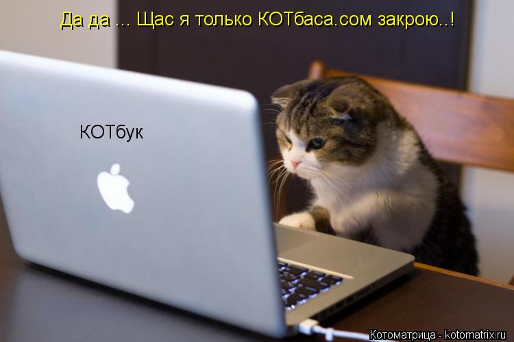 Да да ... Щас я только КОТбаса.сом закрою..! КОТбук... Котоматрица: Да да ... Щас я только КОТбаса.сом закрою..! КОТбук