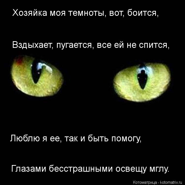 Глазами бесстрашными освещу мглу. Люблю я ее, так и быть помогу, Хозяйка моя темноты, вот, боится, Вз... Котоматрица: Глазами бесстрашными освещу мглу. Люблю я ее, так и быть помогу, Хозяйка моя темноты, вот, боится, Вздыхает, пугается, все ей не спится,