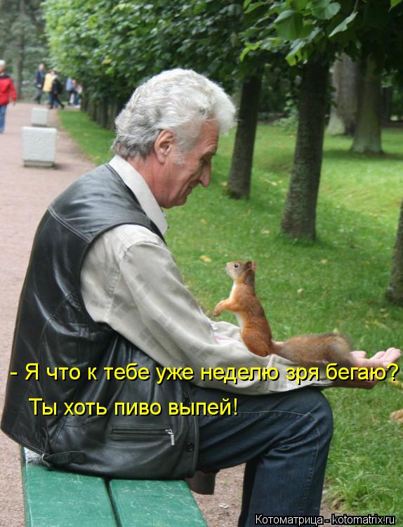 - Я что к тебе уже неделю зря бегаю? Ты хоть пиво выпей!... Котоматрица: - Я что к тебе уже неделю зря бегаю? Ты хоть пиво выпей!