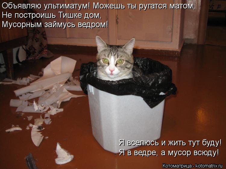 Объявляю ультиматум! Можешь ты ругатся матом, Не построишь Тишке дом, Мусорным займусь ведром! Я всел... Котоматрица: Объявляю ультиматум! Можешь ты ругатся матом, Не построишь Тишке дом, Мусорным займусь ведром! Я вселюсь и жить тут буду! Я в ведре, а мусор в