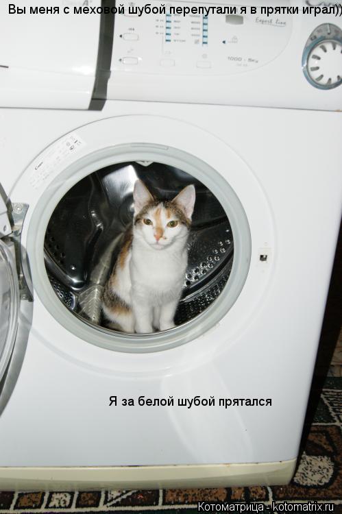 Вы меня с меховой шубой перепутали я в прятки играл))) Я за белой шубой прятался... Котоматрица: Вы меня с меховой шубой перепутали я в прятки играл))) Я за белой шубой прятался