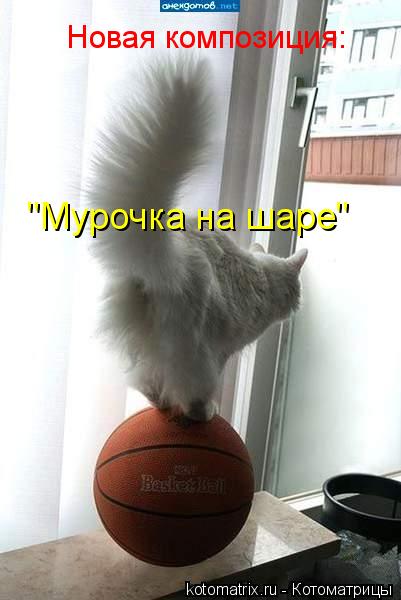 Новая композиция: "Мурочка на шаре"... Котоматрица: Новая композиция: "Мурочка на шаре"