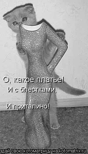 О, какое платье! И с блестками, И приталино!... Котоматрица: О, какое платье! И с блестками, И приталино!
