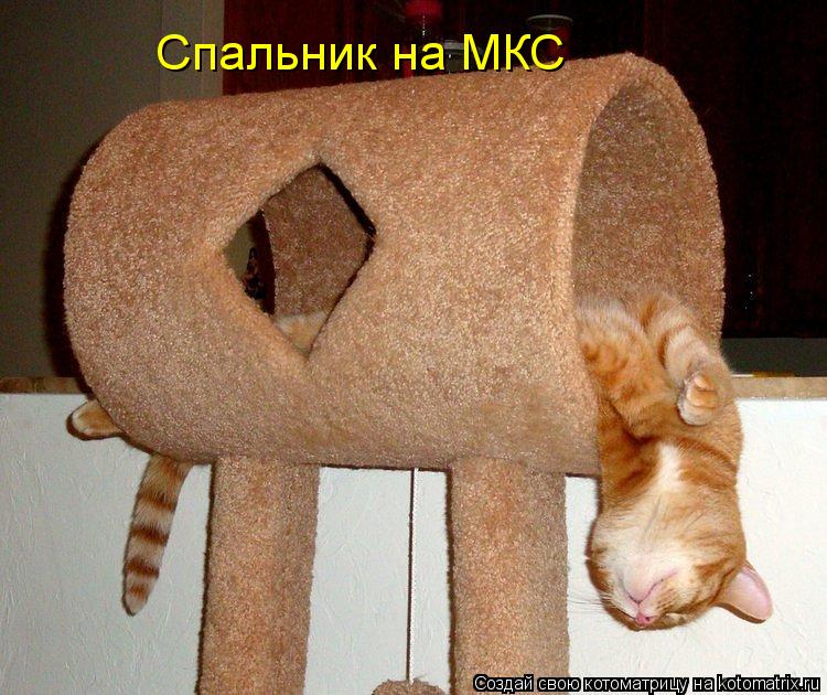 Спальник на МКС... Котоматрица: Спальник на МКС