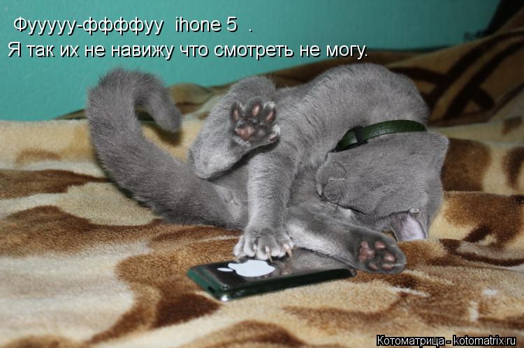 Фууууу-ффффуу ihone 5 . Я так их не навижу что смотреть не могу.... Котоматрица: Фууууу-ффффуу ihone 5 . Я так их не навижу что смотреть не могу.