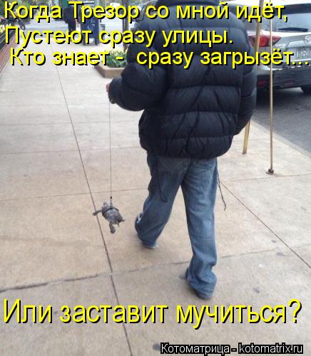 Когда Трезор со мной идёт, Пустеют сразу улицы. Кто знает - сразу загрызёт... Или заставит мучиться... Котоматрица: Когда Трезор со мной идёт, Пустеют сразу улицы. Кто знает - сразу загрызёт... Или заставит мучиться?