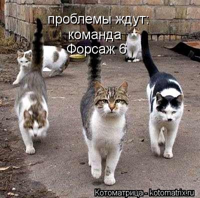 проблемы ждут: команда Форсаж 6... Котоматрица: проблемы ждут: команда Форсаж 6
