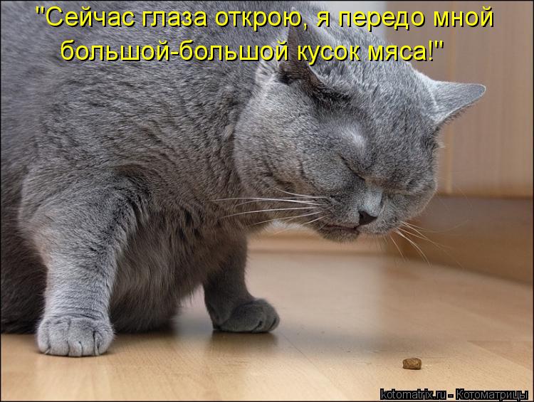 Котоматрица: "Сейчас глаза открою, я передо мной большой-большой кусок мяса!"
