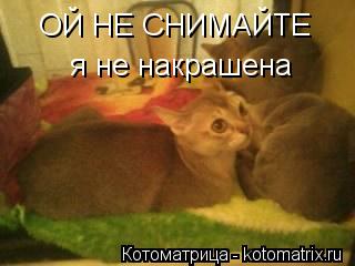 Котоматрица: ОЙ НЕ СНИМАЙТЕ  я не накрашена