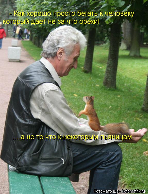- Как хорошо просто бегать к человеку который дает не за что орехи! ....а не то что к некоторым пьян... Котоматрица: - Как хорошо просто бегать к человеку который дает не за что орехи! ....а не то что к некоторым пьяницам