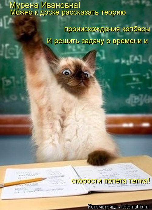 Мурена Ивановна! Можно к доске рассказать теорию проиисхождения колбасы И решить задачу о времени и ... Котоматрица: Мурена Ивановна! Можно к доске рассказать теорию проиисхождения колбасы И решить задачу о времени и скорости полета тапка!