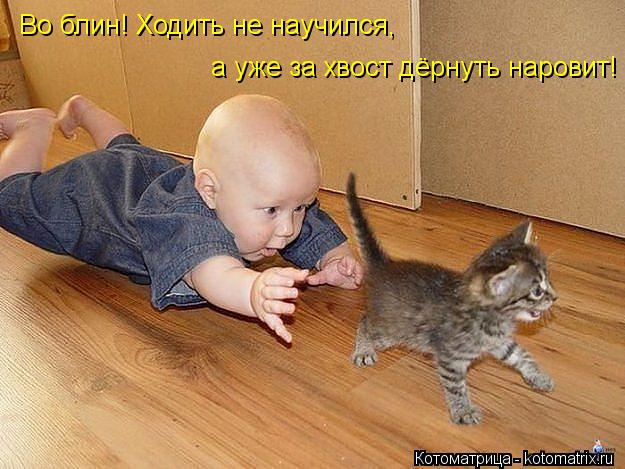 Во блин! Ходить не научился, а уже за хвост дёрнуть наровит!... Котоматрица: Во блин! Ходить не научился, а уже за хвост дёрнуть наровит!