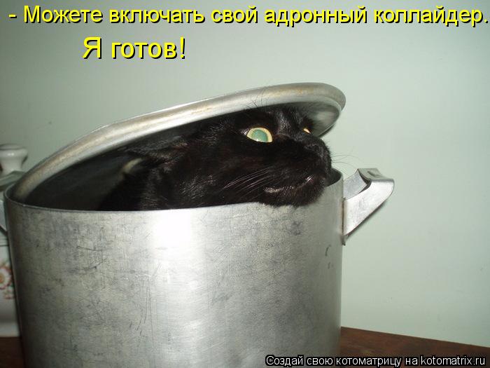 Котоматрица: - Можете включать свой адронный коллайдер.  Я готов!