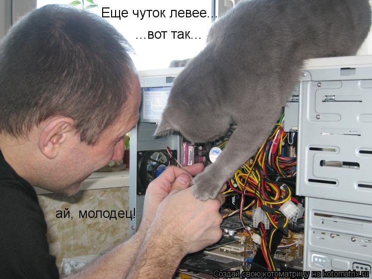 Еще чуток левее... ...вот так... ай, молодец!... Котоматрица: Еще чуток левее... ...вот так... ай, молодец!